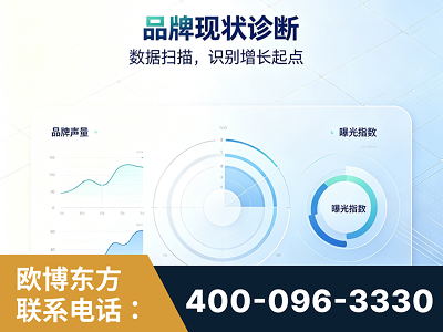 涟源-品牌现状诊断