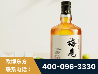 涟源-梅见青梅酒